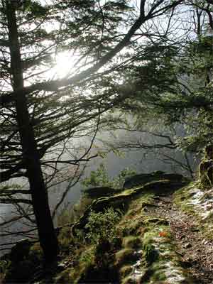 Por el Valle del Leizar&aacute;n